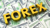 Forex reserves to fall further after $1.6 billion payment today